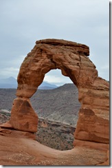 delicatearch