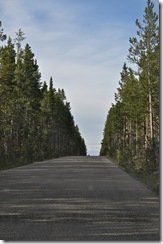 valleyoftrees