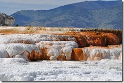 yellowstone5