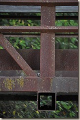 DSC_0107 - Copy