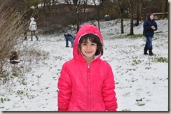 2010snow8